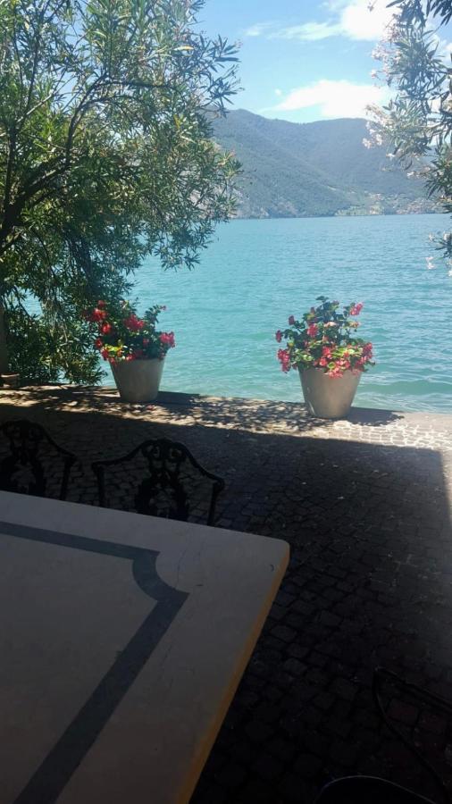 L'Oleandro Sul Lago D'Iseo B&B Sulzano Exterior foto