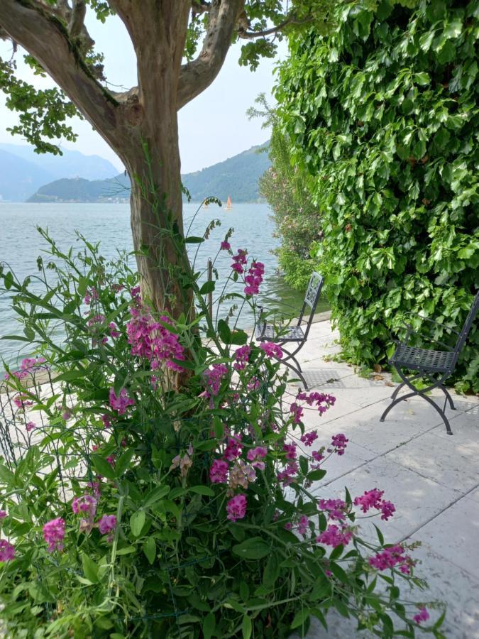 L'Oleandro Sul Lago D'Iseo B&B Sulzano Exterior foto